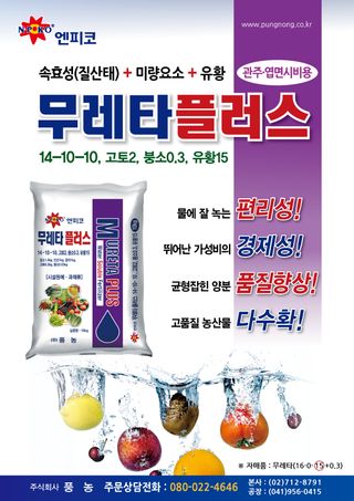 엔피코뉴스님의 자유주제 · 자유게시판 작성글 사진