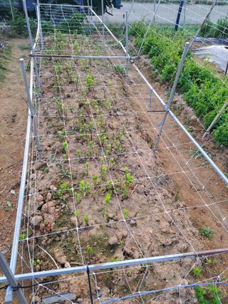 온시디움님의 자유주제 · 자유게시판 작성글 사진