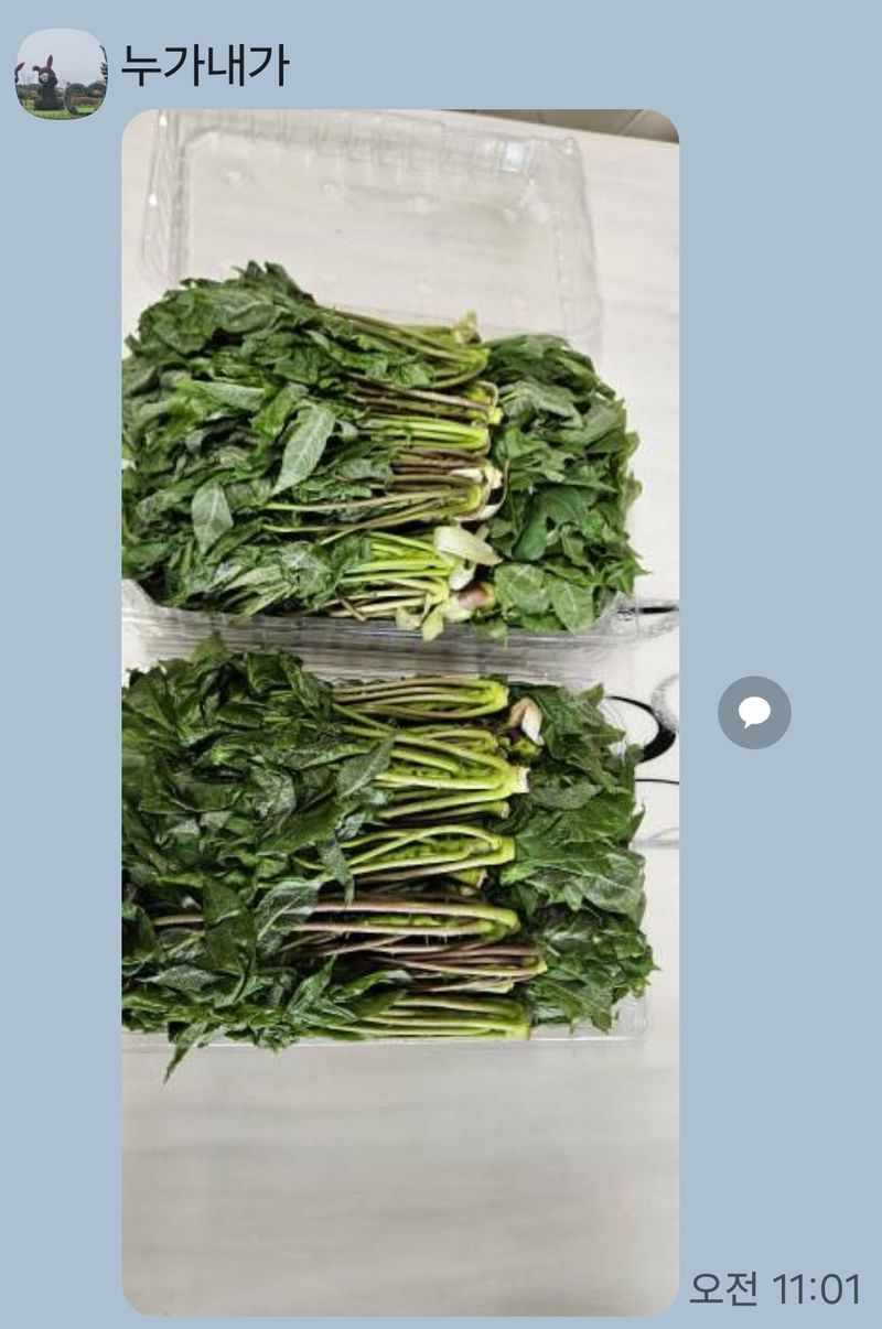 속리산 늘푸른 농장님의 장터 판매 상품 [엄나무순 1키로그램 ] 첨부 사진