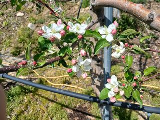 알 수 없음님의 자유주제 · 자유게시판 작성글 사진