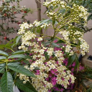 박철용 님의 자유주제 · 자유게시판 작성글 사진