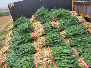 주인성님의 자유주제 · 사진전 작성글 사진