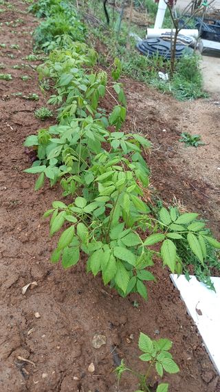 강현숙님의 자유주제 · 자유게시판 작성글 사진