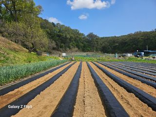 최경림님의 자유주제 · 자유게시판 작성글 사진