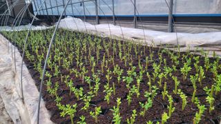 여우내 이순홍님의 자유주제 · 자유게시판 작성글 사진