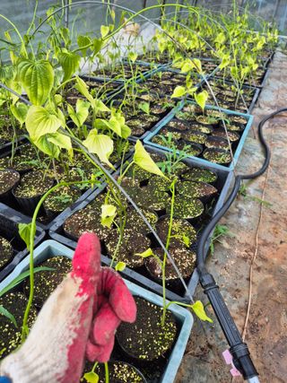 김영진(전남영광)님의 자유주제 · 자유게시판 작성글 사진