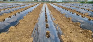 정진해님의 자유주제 · 자유게시판 작성글 사진