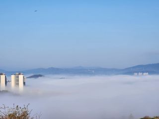 세민님의 자유주제 · 자유게시판 작성글 사진
