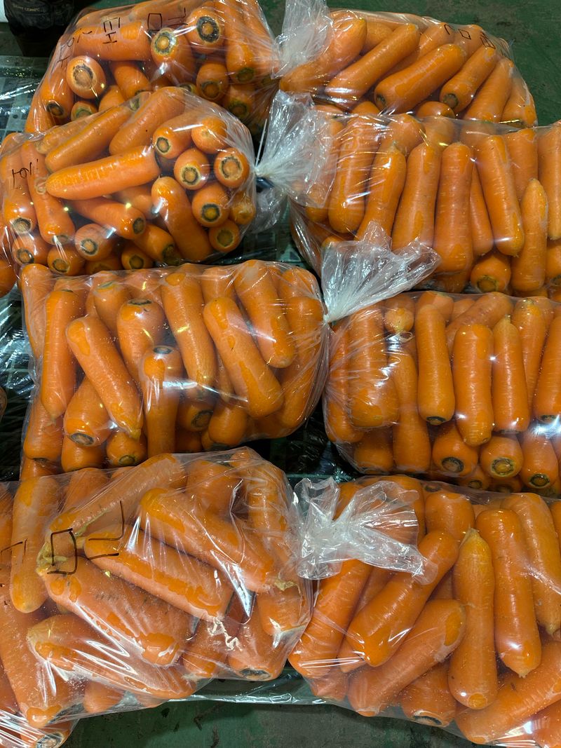 김훈님의 장터 판매 상품 [2025년 제주 구좌 햇 당근 5kg, 10kg] 첨부 사진