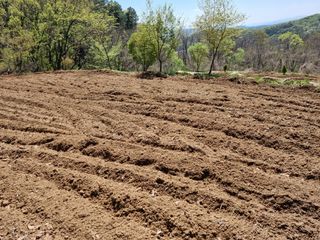 손병만님의 자유주제 · 자유게시판 작성글 사진