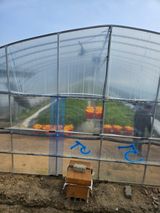 참외님의 🌱내 작물 자랑하기!·참여글 작성글 사진