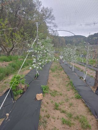 박상현님의 🌱내 작물 자랑하기! · 참여글 작성글 사진