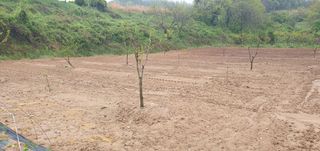 김영진님의 🌱내 작물 자랑하기! · 참여글 작성글 사진