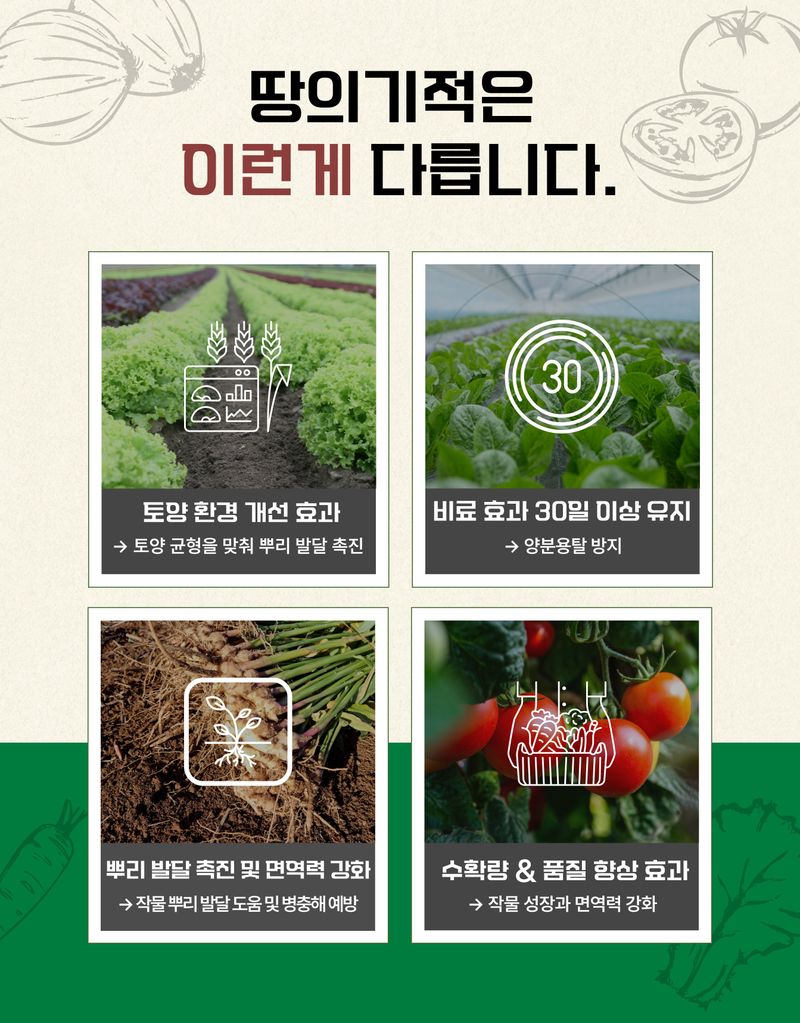 남흥원예사님의 장터 판매 상품 [땅의기적 2kg 15-3-5 녹여서도 사용 가능한 하이브리드 비료 텃밭 마늘 양파 고추 배추 염류 해소 ph조절] 첨부 사진