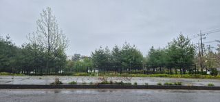 최월숙(왈순아지매)님의 자유주제 · 자유게시판 작성글 사진