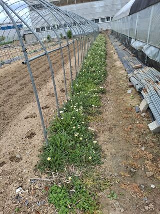오영배님의 🌱내 작물 자랑하기! · 참여글 작성글 사진