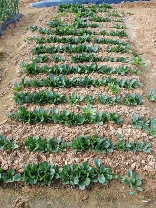 상원(尙沅)님의 자유주제 · 사진전 작성글 사진