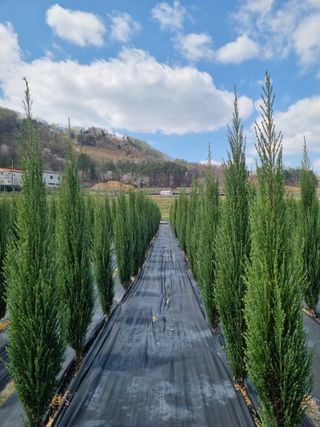 연산나무농장님의 자유주제 · 자유게시판 작성글 사진