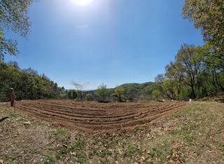 손병만님의 자유주제 · 자유게시판 작성글 사진