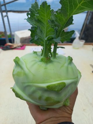 박린님의 자유주제 · 자유게시판 작성글 사진