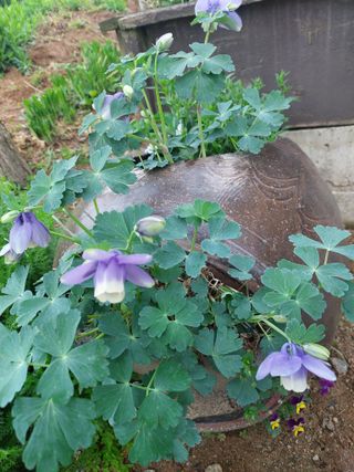 재연농장님의 자유주제 · 자유게시판 작성글 사진