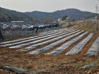 이준님의 🌱내 작물 자랑하기! · 참여글 작성글 사진