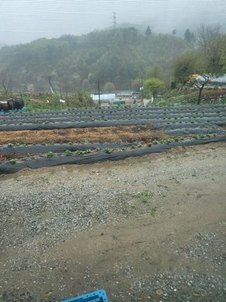 남병목님의 🌱내 작물 자랑하기! · 참여글 작성글 사진