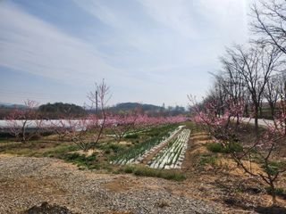 댕이골표영환님의 🌱내 작물 자랑하기! · 참여글 작성글 사진