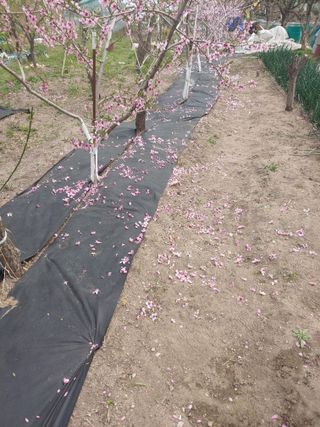 박상현님의 🌱내 작물 자랑하기! · 참여글 작성글 사진