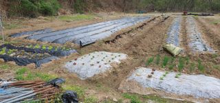 종덕이 농원님의 자유주제 · 사진전 작성글 사진