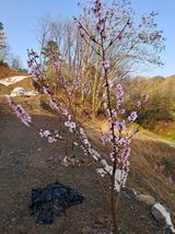 팜모닝 🌱내 작물 자랑하기!·참여글 게시글 이미지