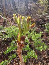 팜모닝 🌱내 작물 자랑하기!·참여글 게시글 이미지
