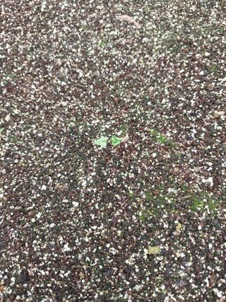 서산팔봉농원님의 자유주제 · 자유게시판 작성글 사진