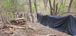 종덕이 농원님의 자유주제 · 사진전 작성글 사진