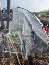 팜모닝 자유주제·자유게시판 게시글 이미지