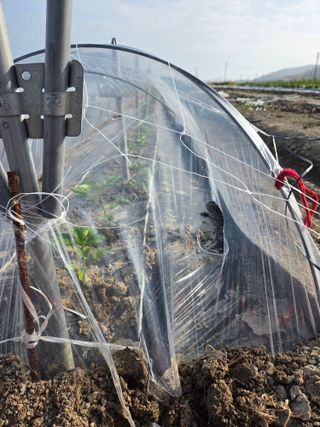 정연순님의 자유주제 · 자유게시판 작성글 사진