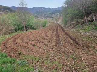 이준님의 🌱내 작물 자랑하기! · 참여글 작성글 사진