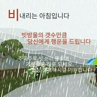 고산국토사랑풀뽑기님의 자유주제 · 자유게시판 작성글 사진