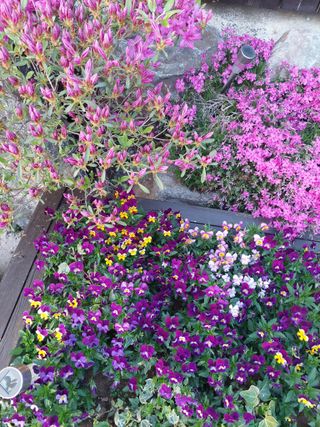 재연농장님의 자유주제 · 자유게시판 작성글 사진