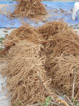 팜모닝 자유주제·자유게시판 게시글 이미지