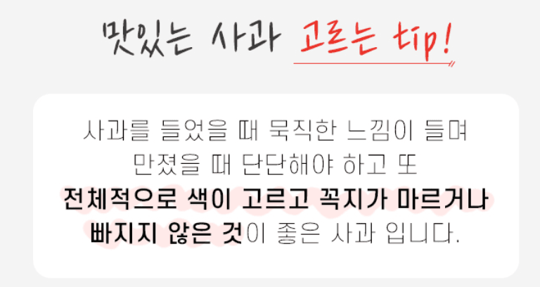 스피드번님의 장터 판매 상품 [경북 부사사과 (실속형)] 첨부 사진