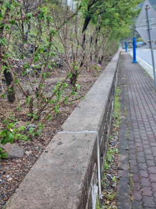 김용대님의 자유주제 · 자유게시판 작성글 사진