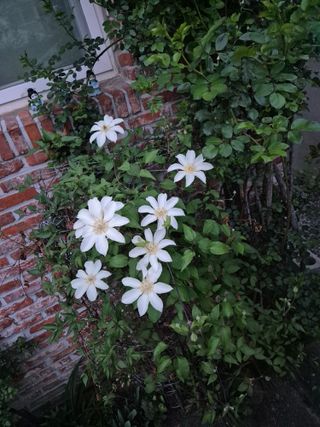 기중권님의 자유주제 · 자유게시판 작성글 사진