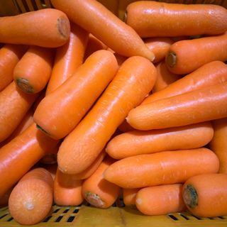 김훈님의 작성글 사진