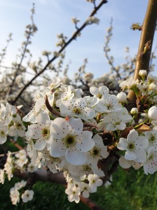 양파13440님의 🌱내 작물 자랑하기! · 참여글 작성글 사진