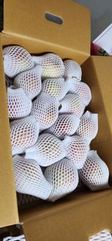 팜모닝 · 게시글 이미지