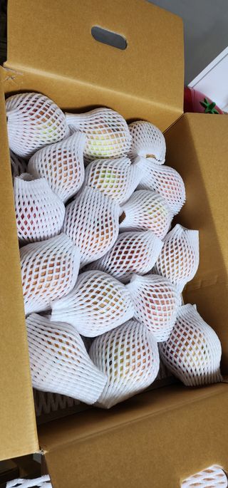 박은희님의 작성글 사진