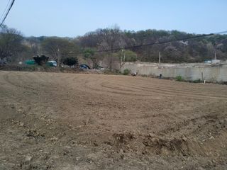 이연화님의 자유주제 · 자유게시판 작성글 사진