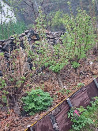 김용대님의 자유주제 · 자유게시판 작성글 사진