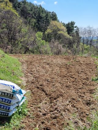 손병만님의 자유주제 · 자유게시판 작성글 사진